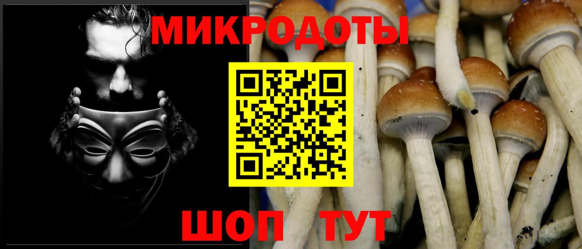 Кореновск  Псилоцибиновые грибы Psilocybine cubensis  Вход с VPN 